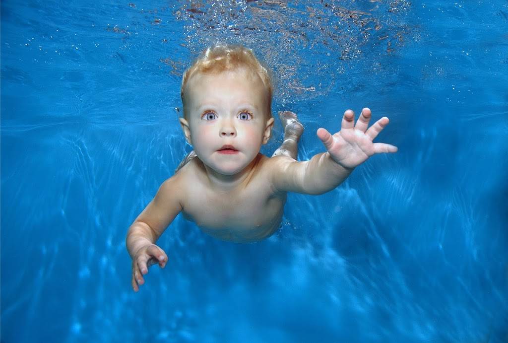 Swim Otters Swim & Fitness School | 3974 Youngfield St, Golden, CO 80401, USA | Phone: (303) 554-7946