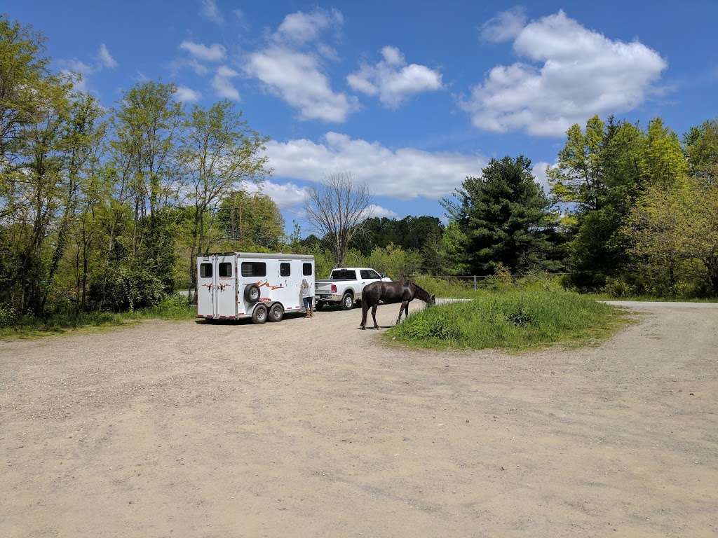 Stewart State Forest | Rock Tavern, NY 12575, USA | Phone: (845) 256-3000