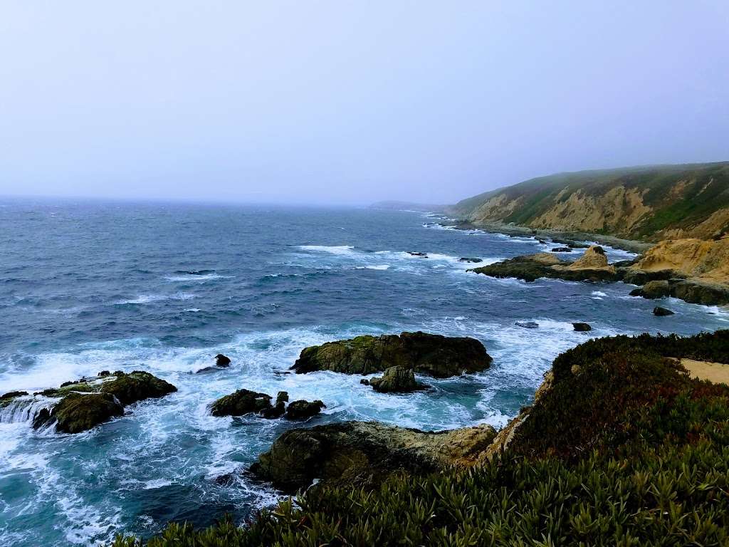 Doran Regional Park | 201 Doran Beach Rd, Bodega Bay, CA 94923, USA | Phone: (707) 875-3540