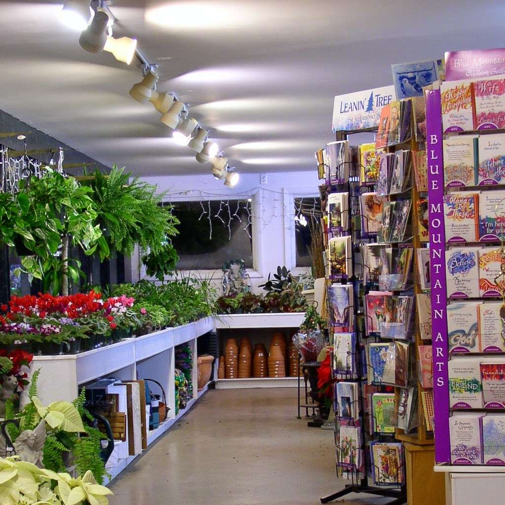 Roxannes Flowers | 328 S 7th St, Akron, PA 17501, USA | Phone: (717) 859-1700