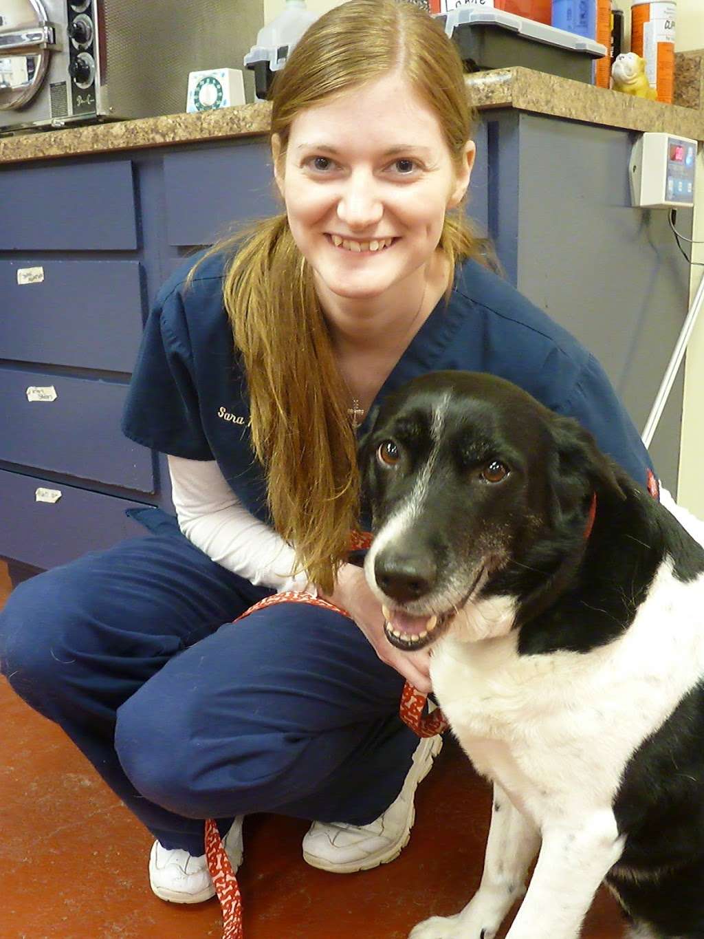Country Critters Veterinary Hospital | 9100 S Co Rd 800 W, Daleville, IN 47334, USA | Phone: (765) 378-7387