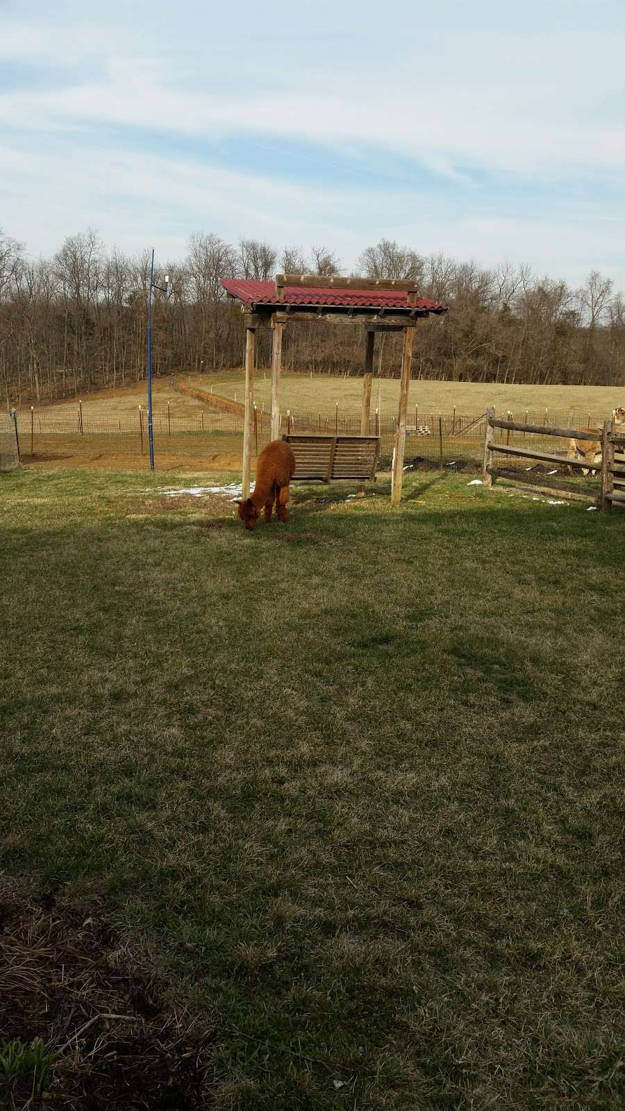 Big Rock Alpaca Farm | 186 Big Rock Rd, East Berlin, PA 17316, USA | Phone: (888) 544-7874