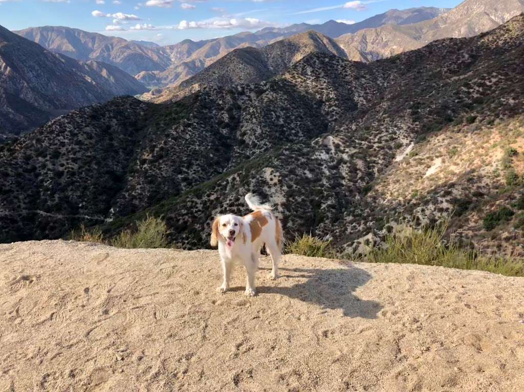 Condor Peak Trailhead | Tujunga, CA 91042