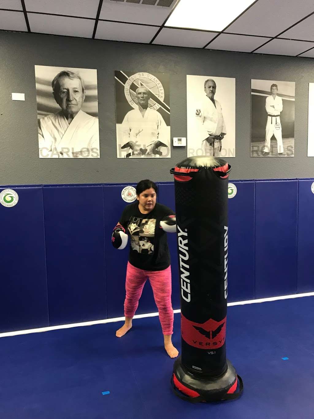 Red Wolf Brazilian Jiu Jitsu Martial Arts and Fitness | 341 W Channel Islands Blvd, Port Hueneme, CA 93041, USA | Phone: (805) 394-6674