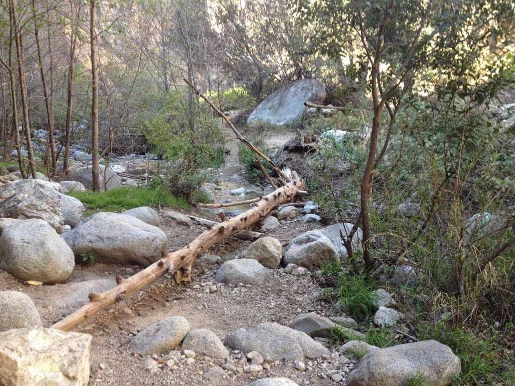 Eaton Canyon Nature Center | 1750 N Altadena Dr, Pasadena, CA 91107, USA | Phone: (626) 398-5420