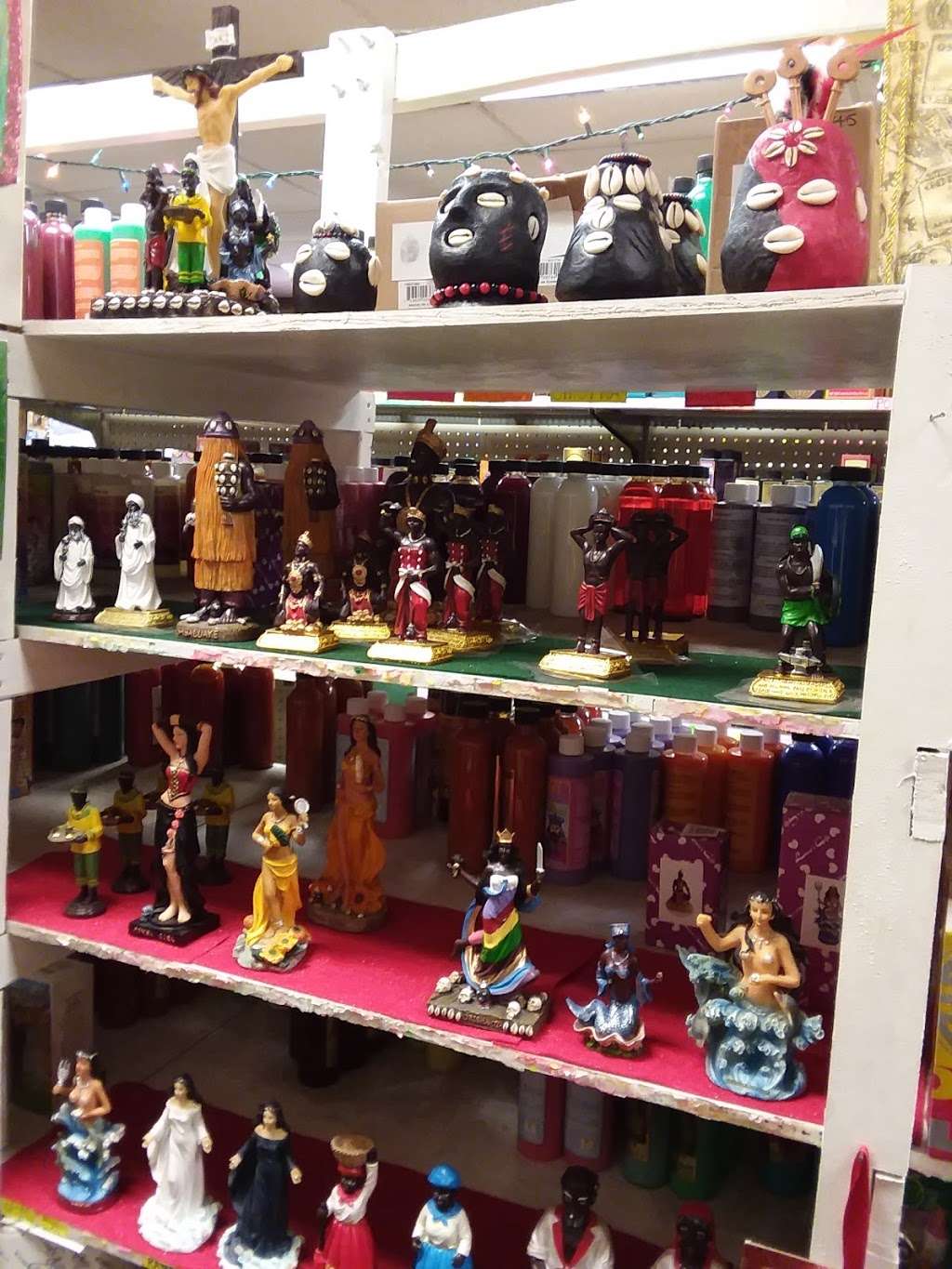 Anas Botanica | 154 Heyward St, Brentwood, NY 11717, USA | Phone: (631) 434-3274