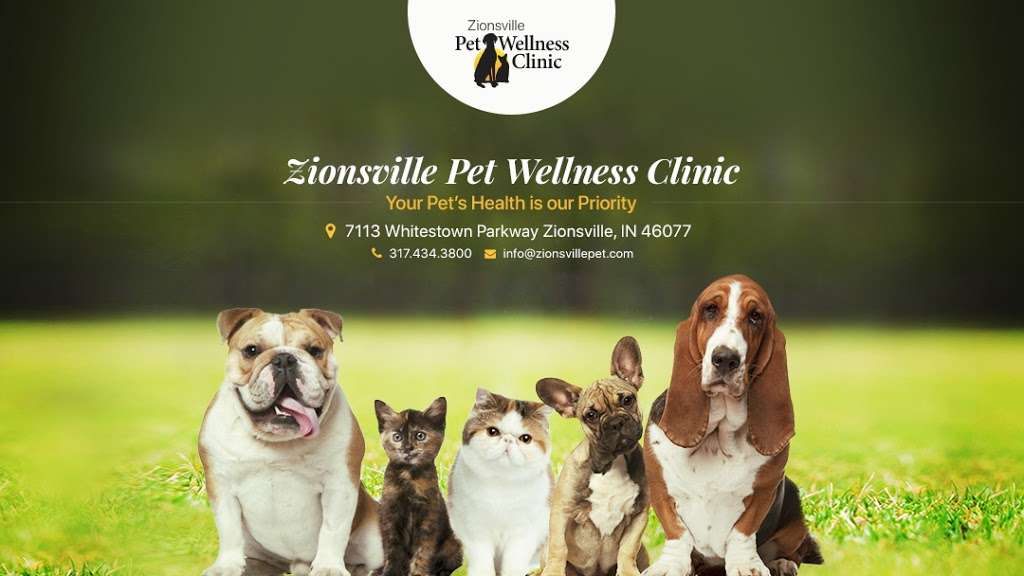 Zionsville Pet Wellness Clinic | 7113 Whitestown Pkwy, Zionsville, IN 46077, USA | Phone: (317) 343-9933