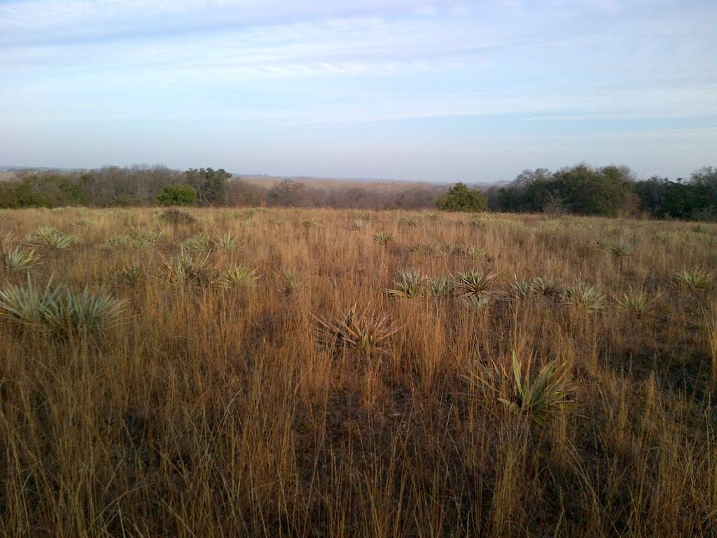 Fort Worth Nature Center & Refuge | 9601 Fossil Ridge Rd, Fort Worth, TX 76135, USA | Phone: (817) 392-7410