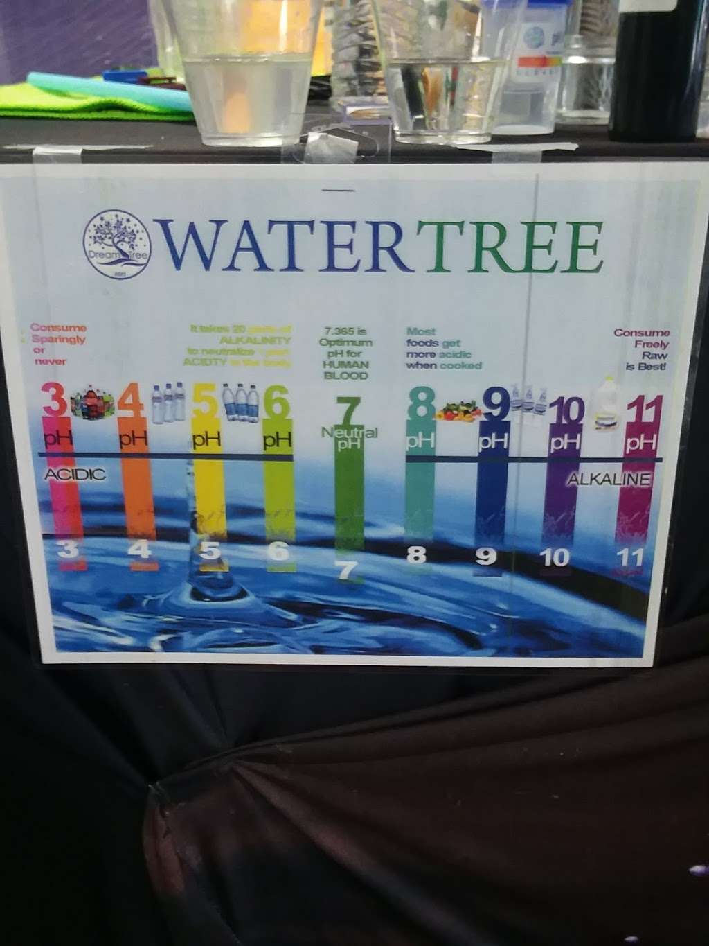 Water Tree Pasadena | 5041 Spencer Hwy Suite #601, Pasadena, TX 77505 | Phone: (832) 917-7876