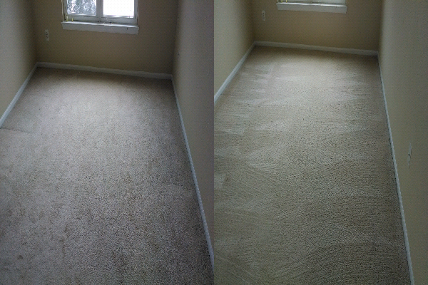 Organic Dry Carpet Cleaning of Fairfax | 12587 Fair Lakes Cir, Fairfax, VA 22033, USA | Phone: (571) 222-8272