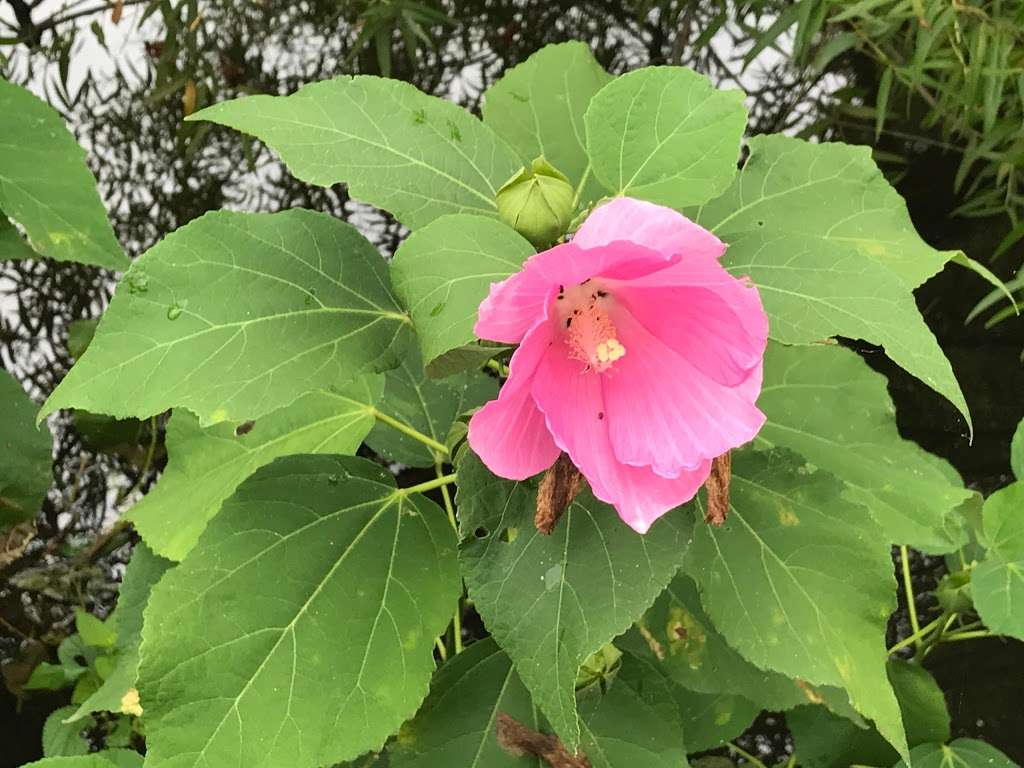 D R Canal State Park Trail Delaware And Raritan Canal State Park Trail Piscataway Township Nj 08854 Usa