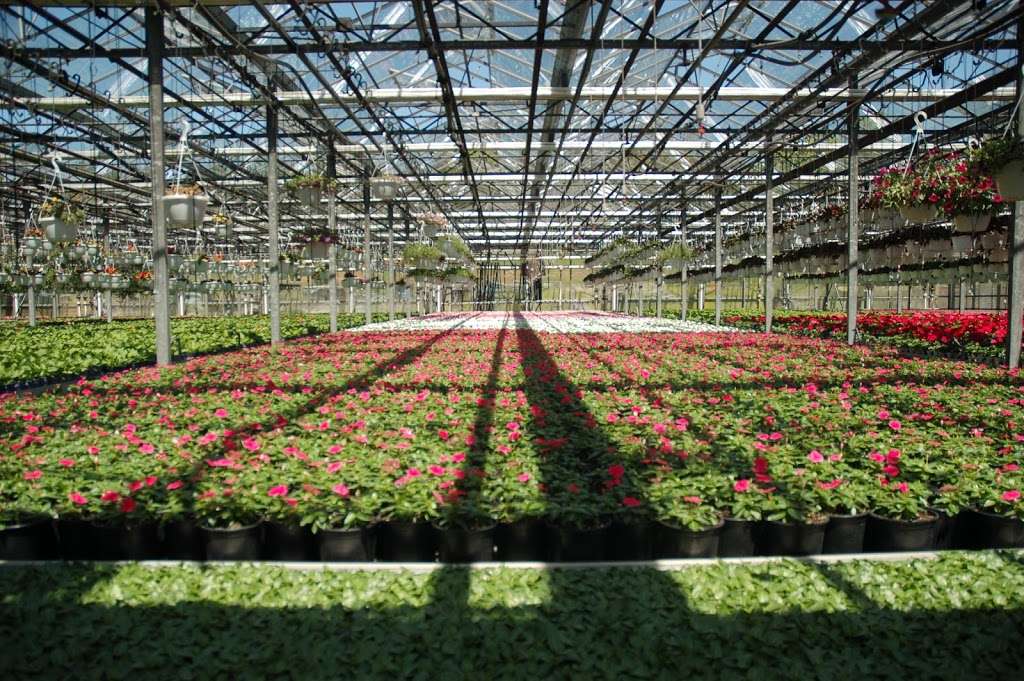 Hionis Greenhouses | 4 Coddington Rd, Whitehouse Station, NJ 08889, USA | Phone: (908) 534-7710