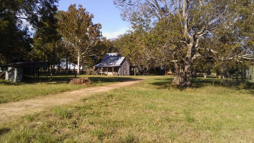 Armand Bayou Nature Center | 8500 Bay Area Blvd, Pasadena, TX 77507, USA | Phone: (281) 474-2551