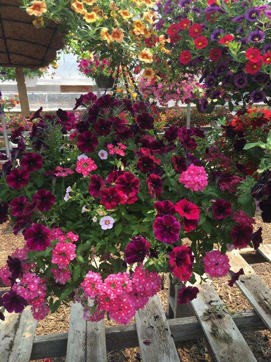 M & D Farms And Garden Center | 14946 S Bell Rd, Homer Glen, IL 60491, USA | Phone: (708) 935-1715