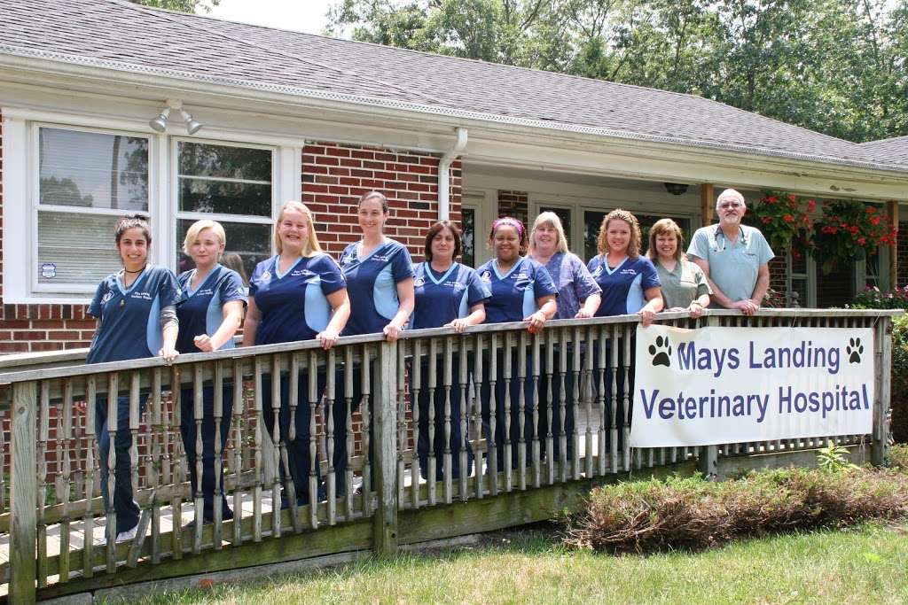 Mays Landing Veterinary Hospital, LLC | 2304 NJ-50, Mays Landing, NJ 08330 | Phone: (609) 909-8907