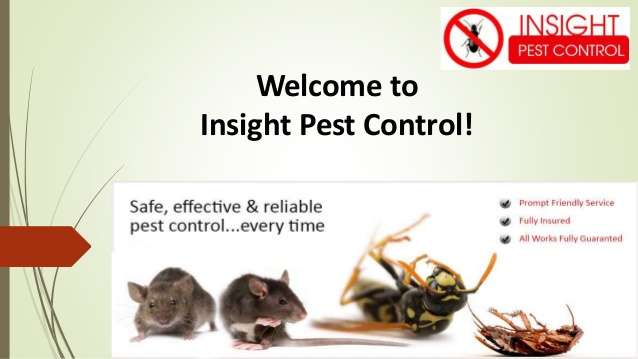 Pest Control By Gonzalo. Powered by Insight Pest Solutions | 1727 Village Blvd APT 207, West Palm Beach, FL 33409, USA