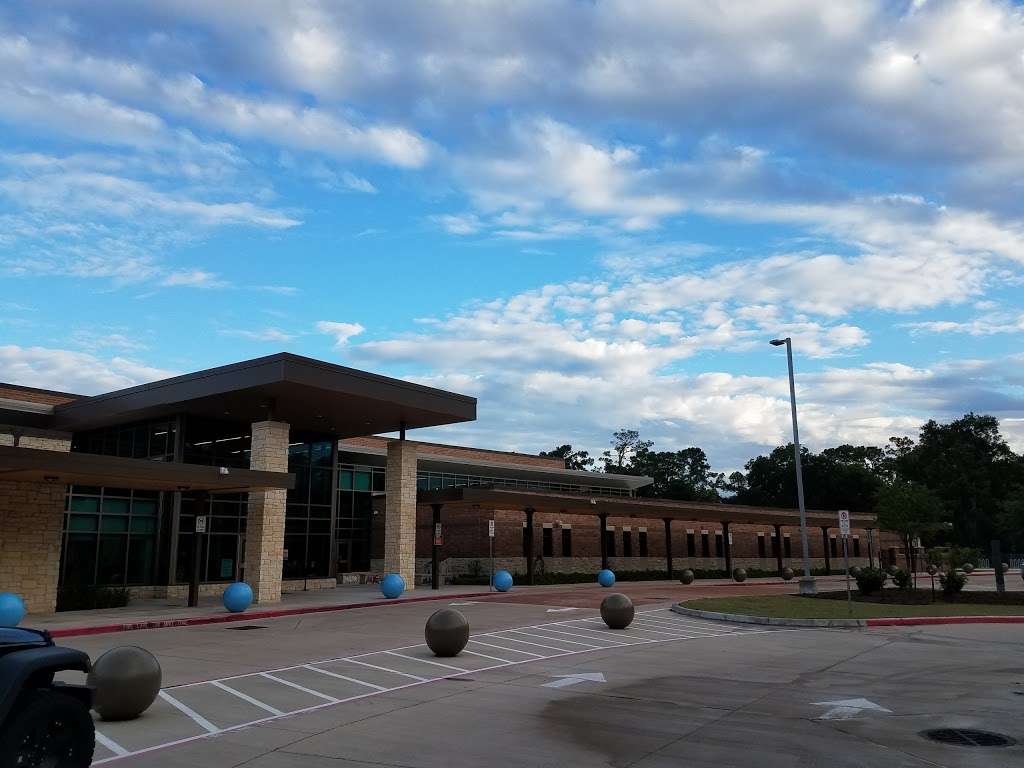 Rummel Creek Elementary | 625 Brittmoore Rd, Houston, TX 77079, USA | Phone: (713) 251-6700