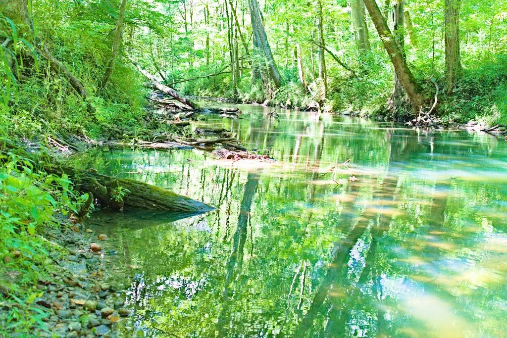 Bicentennial Woods - ACRES Land Trust - 340 E W Shoaff Rd, Huntertown ...