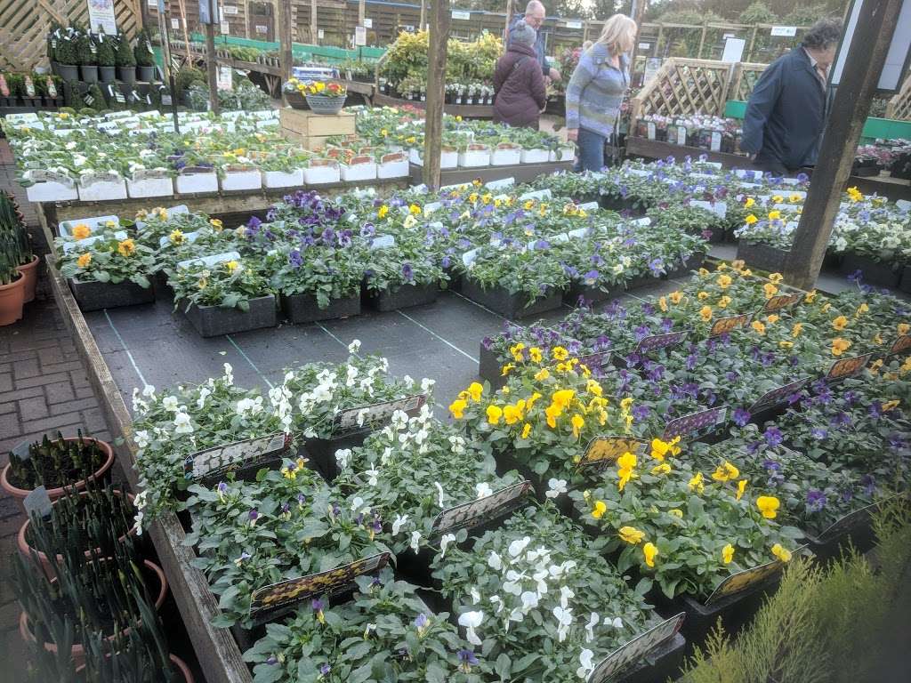 Harlow Garden Centre | Canes Ln, Hastingwood, Harlow CM17 9LD, UK | Phone: 01279 419039