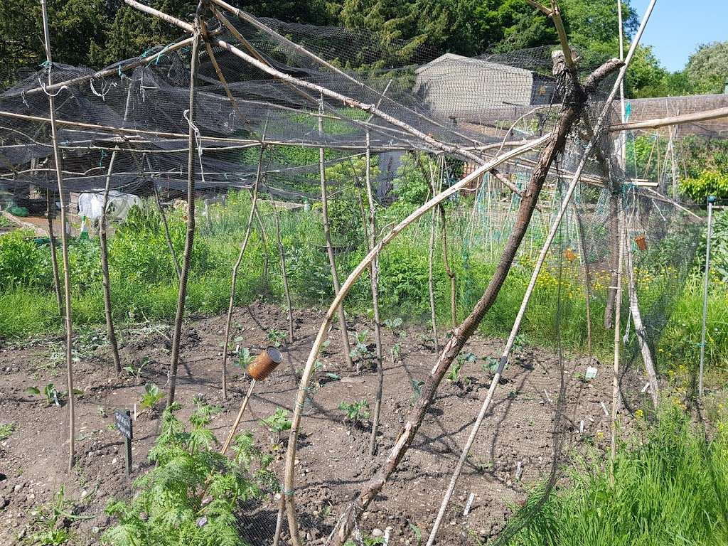 Streatham Common Community Garden | London SW16 3BY, UK