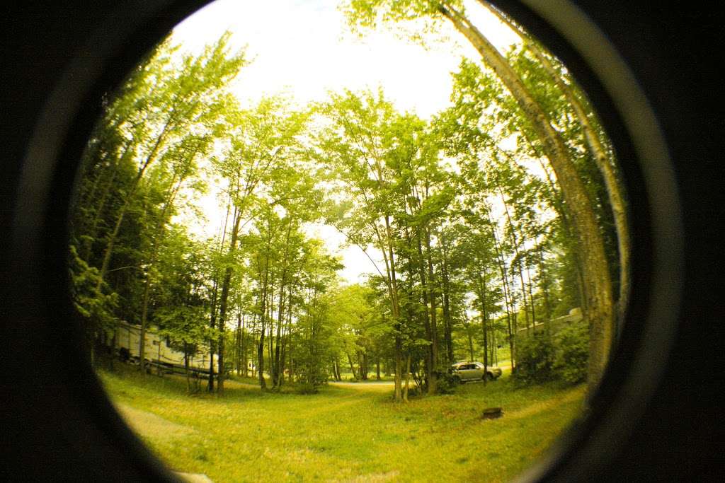 Ponderosa Pines Family Campground | 31 Ponderosa Dr, Honesdale, PA 18431, USA | Phone: (570) 253-2080