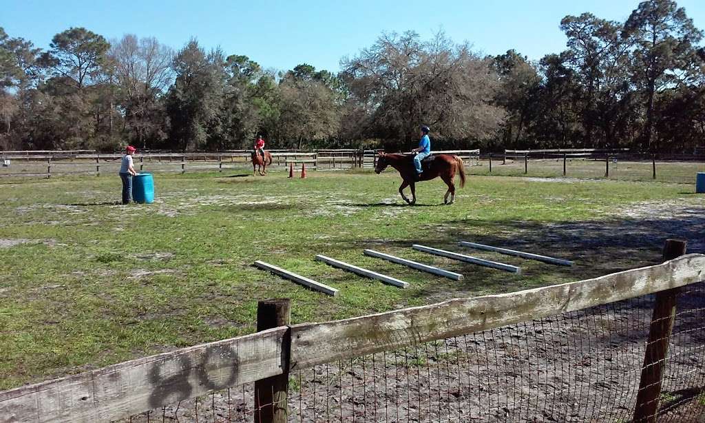 Meliora Stables LLC | 4750 Sanford Ave, Sanford, FL 32773 | Phone: (407) 925-4417