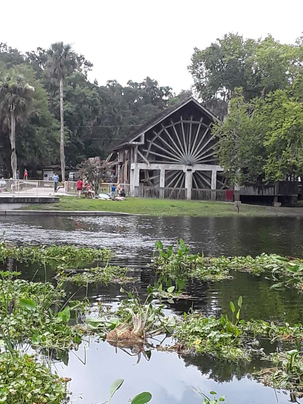 Fountain of Youth Eco/History Tours | 601 Ponce Deleon Blvd State Park De Leon Springs 3399, De Leon Springs, FL 32130, USA | Phone: (386) 837-5537