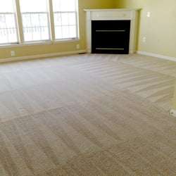 Pioneer Carpet Cleaning Service LLC | 25 Spoonbill Rd, Manalapan, FL 33462, USA | Phone: (561) 359-0789