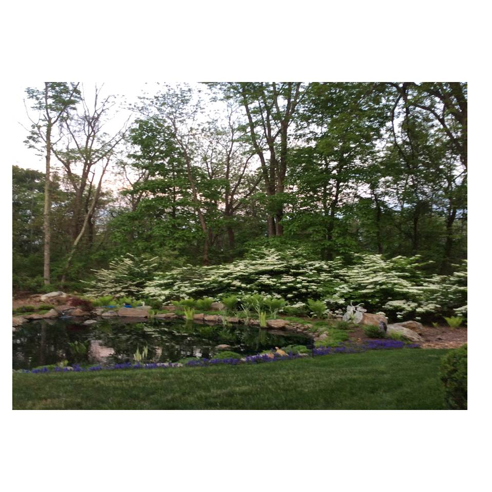 Kevin McKenna Landscape Services, LLC | 3 Symonds Ln, Glen Gardner, NJ 08826 | Phone: (908) 432-4454