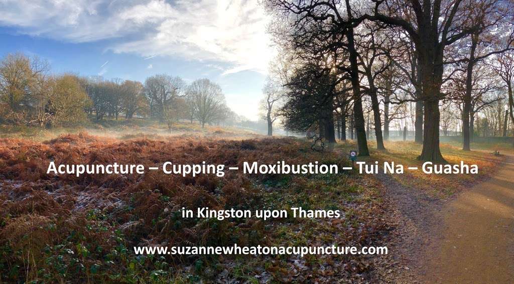Suzanne Wheaton Acupuncture | 90 The Keep, Kingston upon Thames KT2 5UD, UK | Phone: 07841 477718