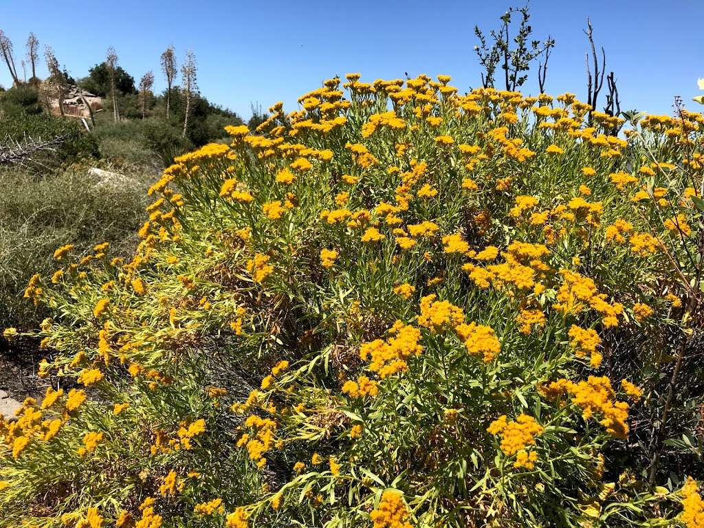 Strawberry peak west ridge | Colby Cyn Trail, Palmdale, CA 93550, USA