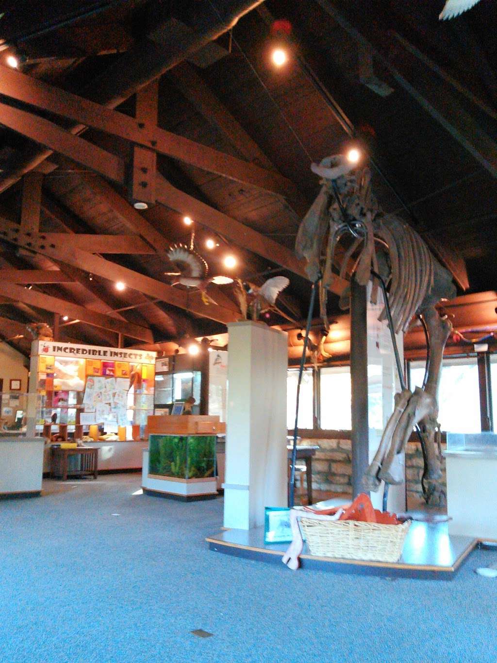 Fullersburg Woods Nature Education Center | 3609 Spring Rd, Oak Brook, IL 60523 | Phone: (630) 850-8110