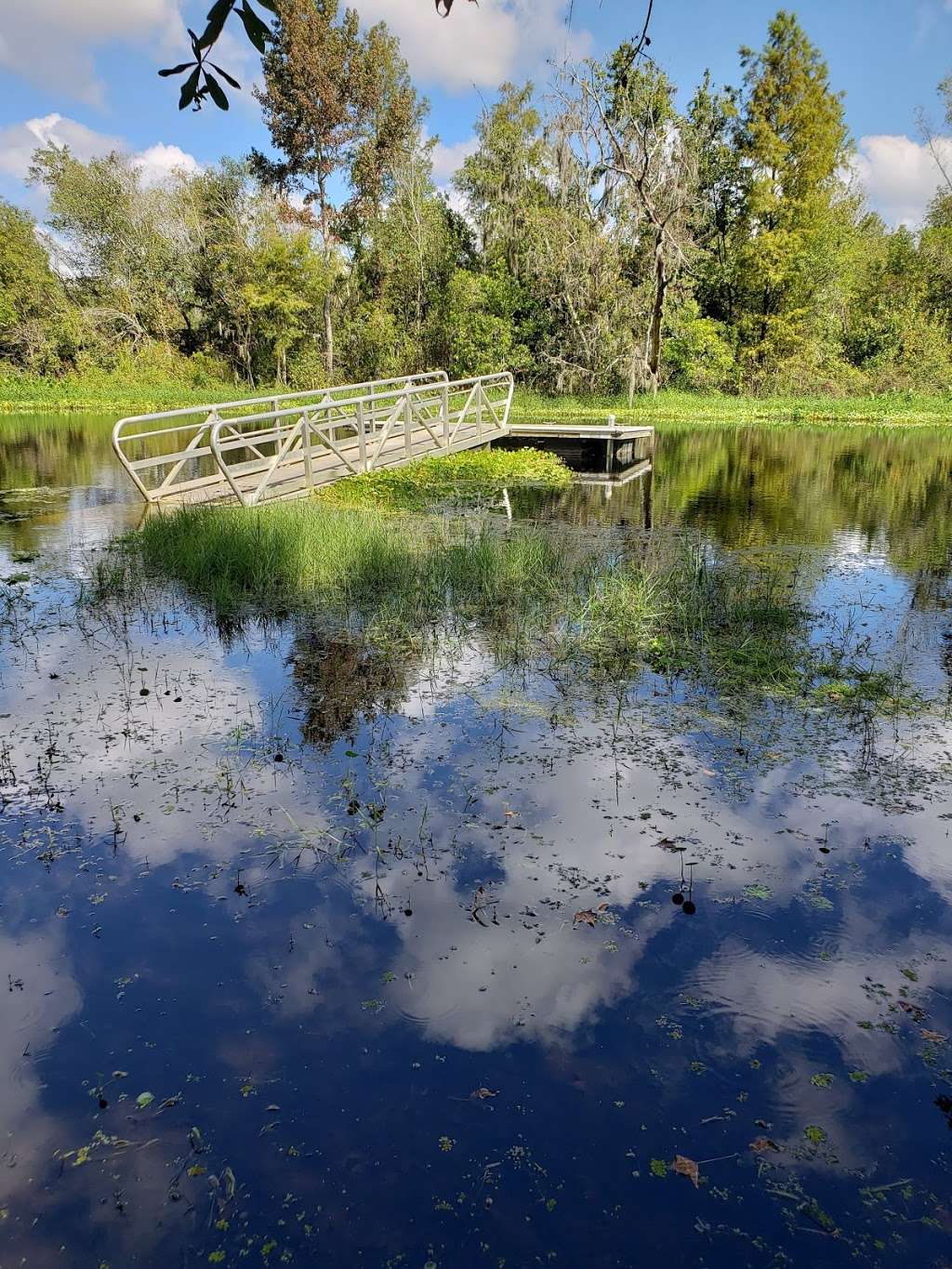 Shady Brook Greenway Park | 200 County Rd 470, Sumterville, FL 33585, USA | Phone: (352) 569-6700