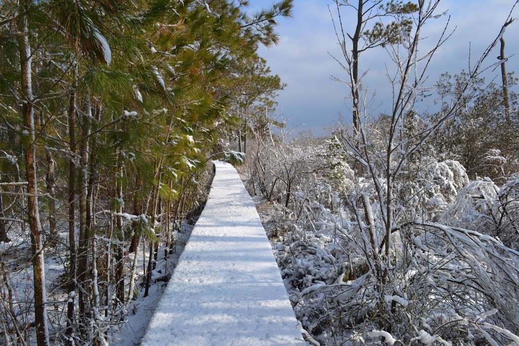 James Farm Ecological Preserve | 30048 Cedar Neck Rd, Ocean View, DE 19970, USA | Phone: (302) 226-8105