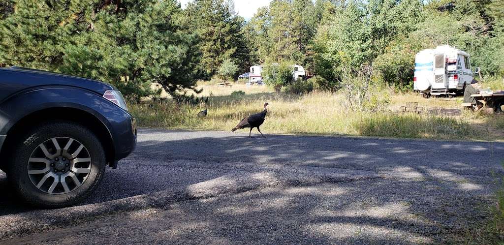 Aspen Glen Campground | US-34 & Old Fall River Rd, Estes Park, CO 80517, USA | Phone: (970) 586-1206