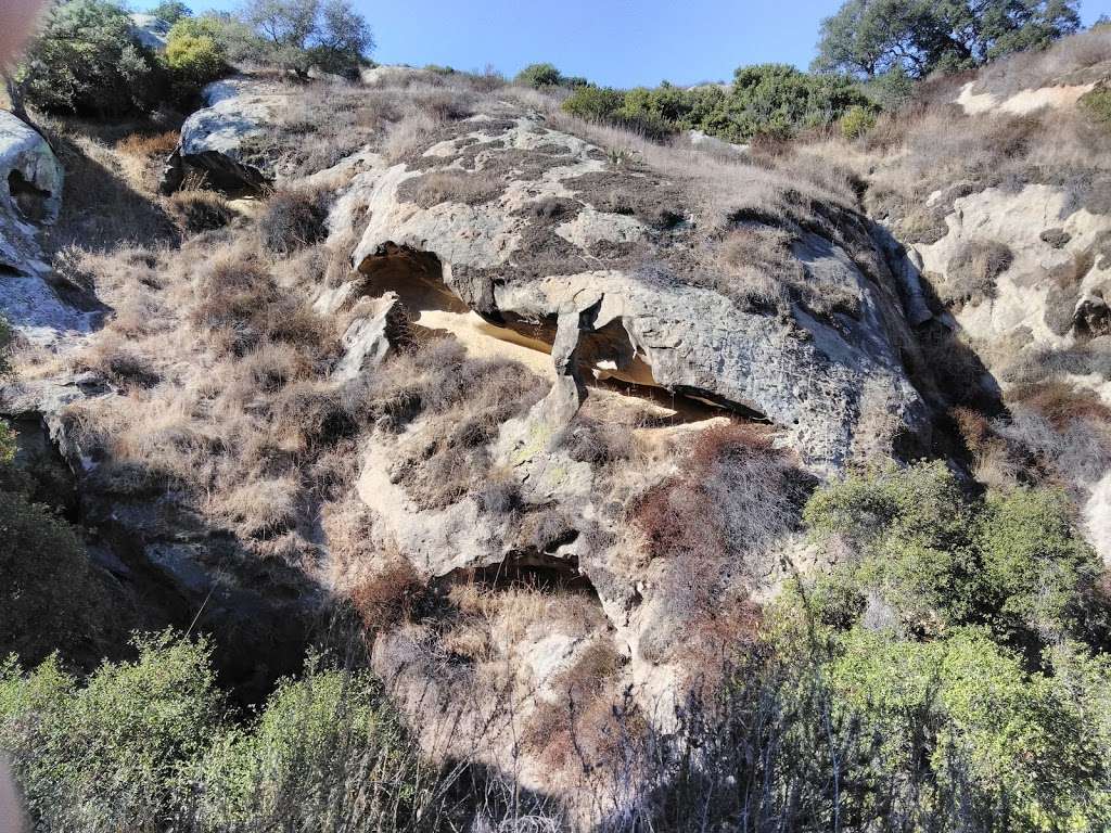 Aliso and Woods Canyon Wilderness Park | W Ridge, Laguna Beach, CA 92651, USA