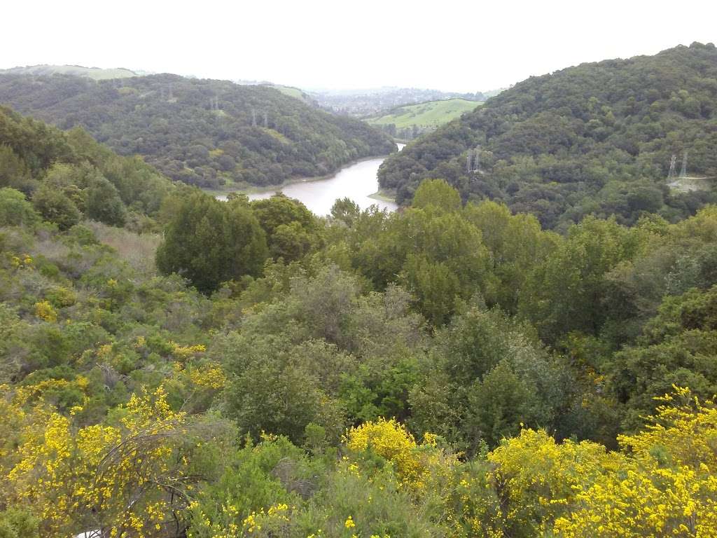 Observation point of Upper San Leandro Reservoir | Pinehurst Rd, Oakland, CA 94619, USA