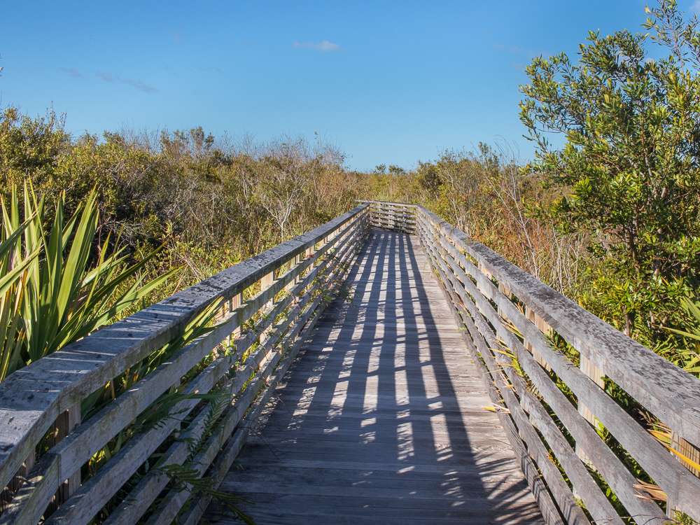 Juno Dunes Natural Area | 14501 U.S. Hwy 1, Juno Beach, FL 33408, USA | Phone: (561) 233-2400