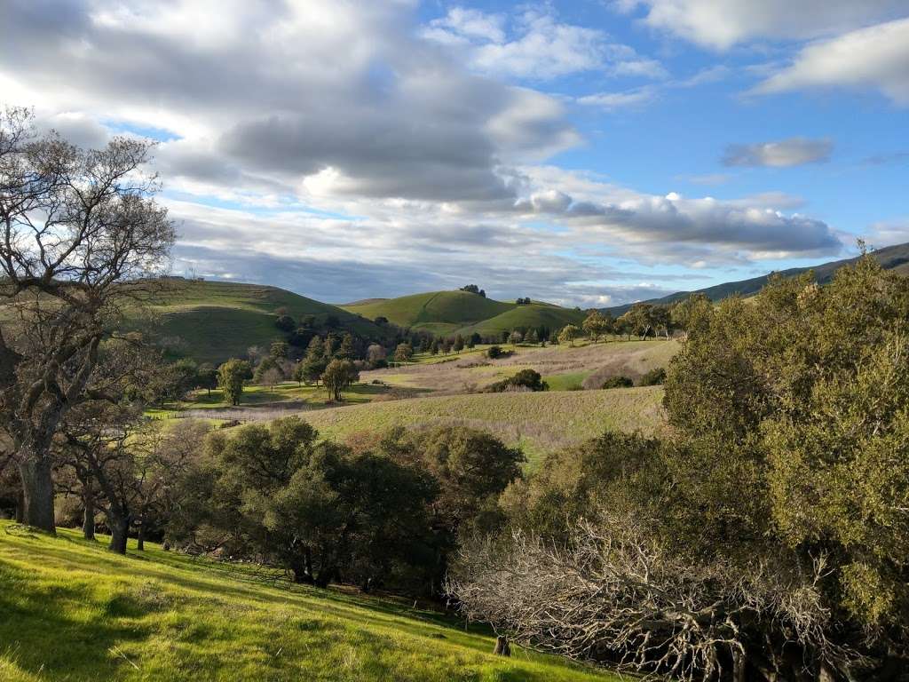 Spring Valley Trail | Spring Valley Trail, Milpitas, CA 95035, USA