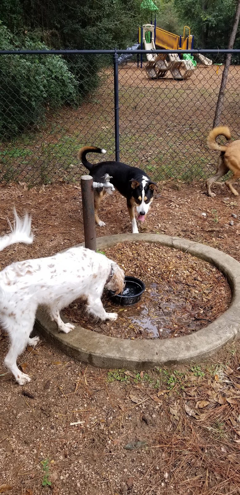 Harpers Landing Dog Park | Conroe, TX 77385, USA