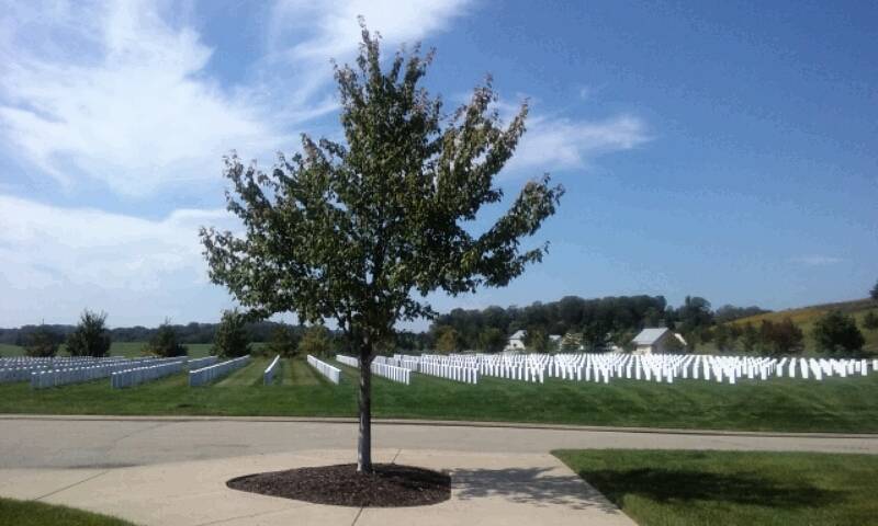 National Cemetery of the Alleghenies | 1158 Morgan Rd, Bridgeville, PA 15017, USA | Phone: (724) 746-4363