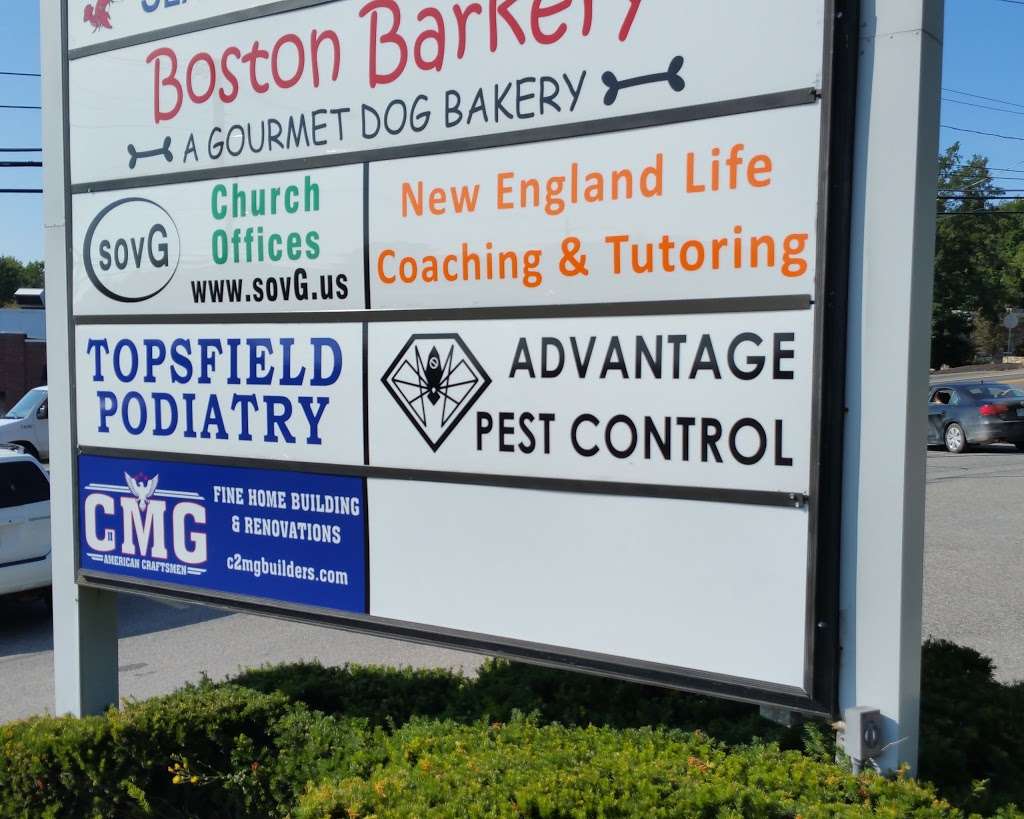 Advantage Pest Control, Inc | 239 Boston St #209, Topsfield, MA 01983 | Phone: (978) 561-9555