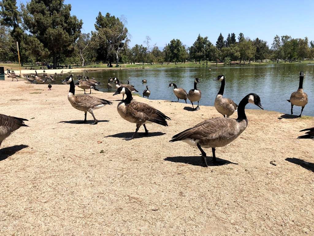 Legg Lake West Side Parking | Rosemead Blvd, South El Monte, CA 91733, USA