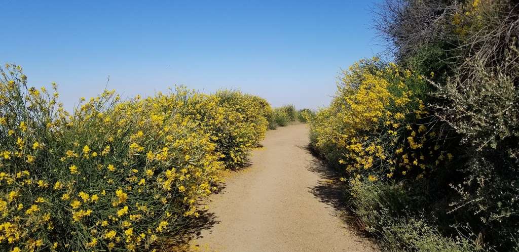 Dawn Mine Trail | Altadena, CA 91001, USA