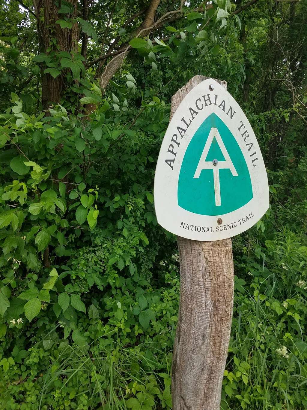 Trumbo Hollow Hike Trailhead - Appalachian Trail | 13167 John Marshall Hwy, Linden, VA 22642, USA