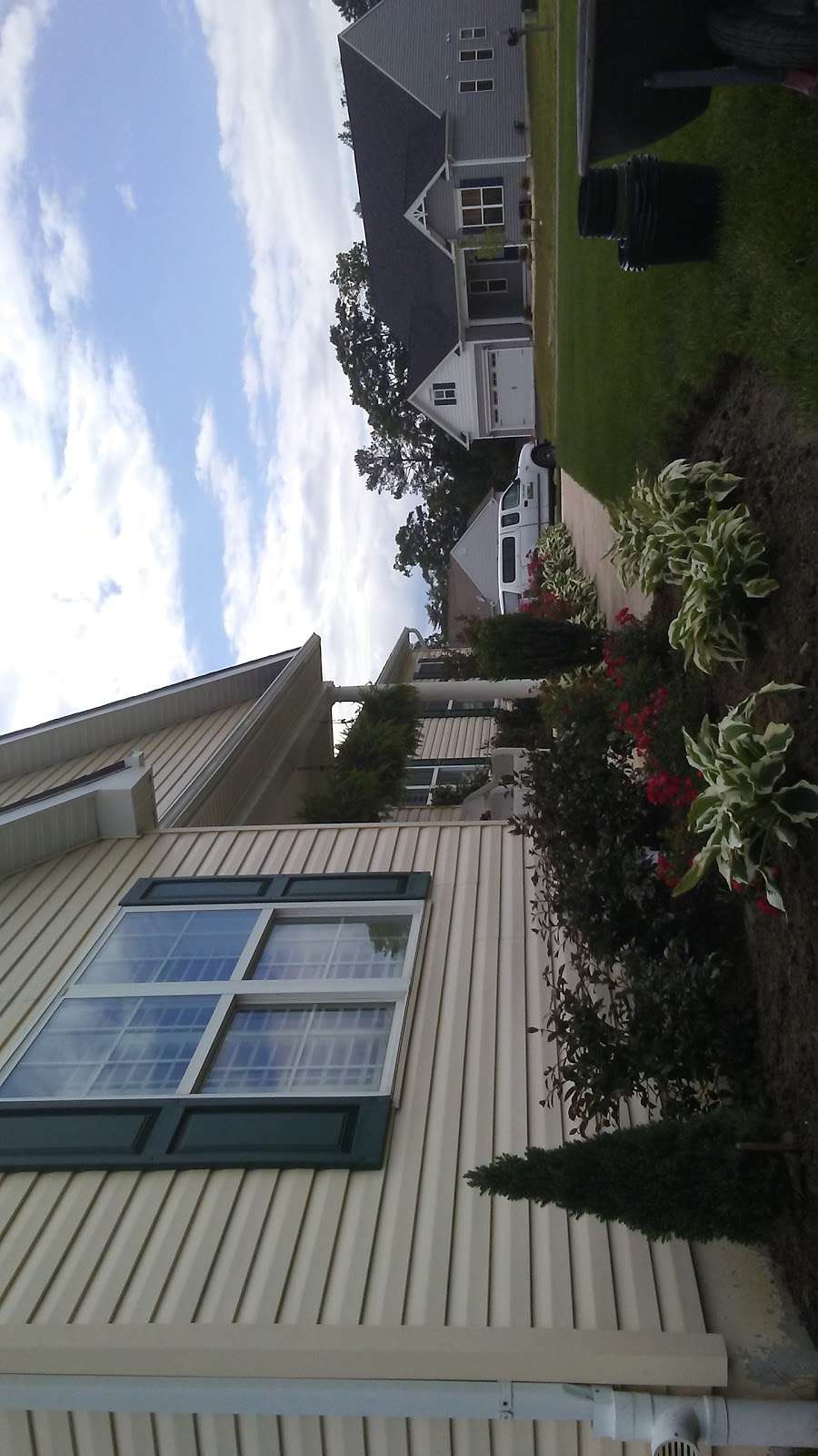 Dollys Pet Sitting Services | 21110 Emerald Isle Dr, Lewes, DE 19958, USA | Phone: (302) 604-8573