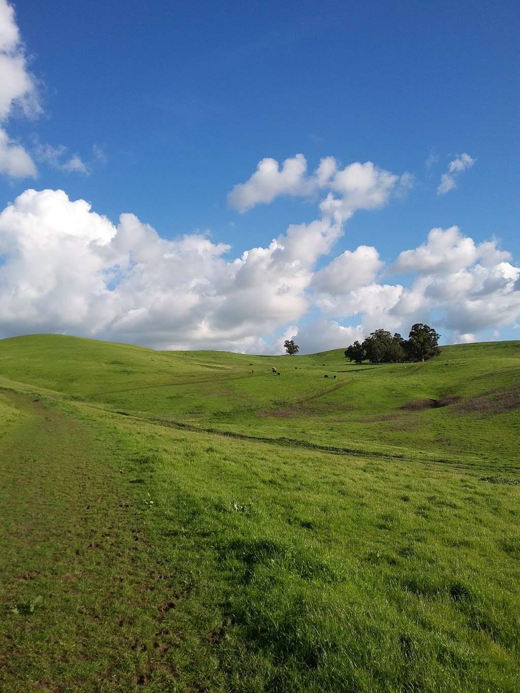 Brushy Peak Regional Preserve | 2234 Laughlin Rd, Livermore, CA 94551, USA | Phone: (888) 327-2757