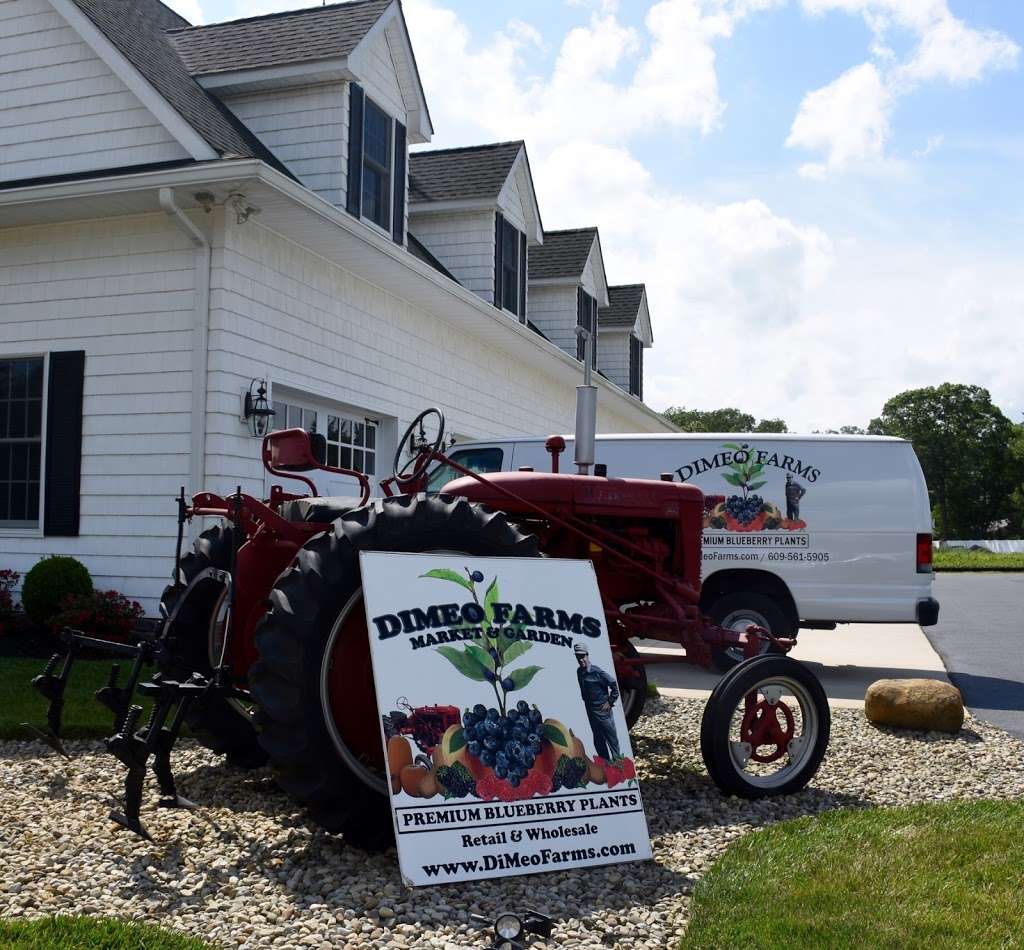 DiMeo Blueberry Farms & Blueberry Plants Nursery | 3101 Nesco Rd, Hammonton, NJ 08037, USA | Phone: (609) 561-5905