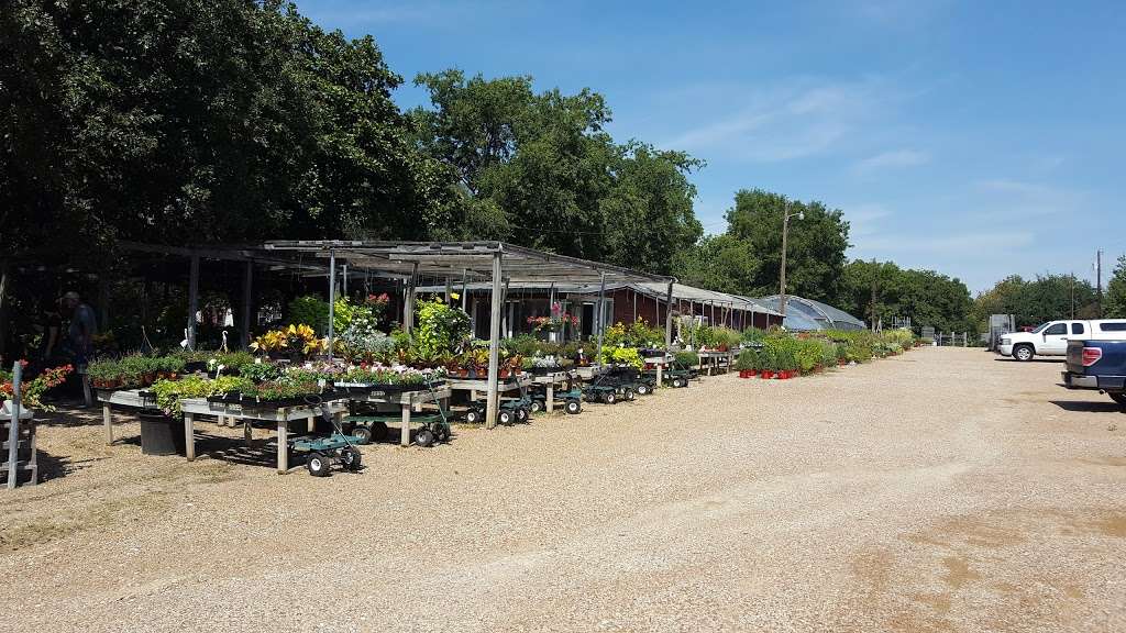 Chambers Nursery Garden Center | 3307 W Shady Grove Rd, Irving, TX 75060, USA | Phone: (972) 986-5903