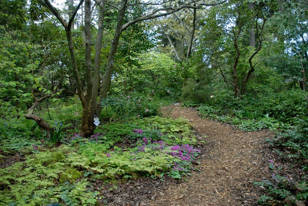 Kruckeberg Botanic Garden | 20312 15th Ave NW, Shoreline, WA 98177, USA | Phone: (206) 546-1281